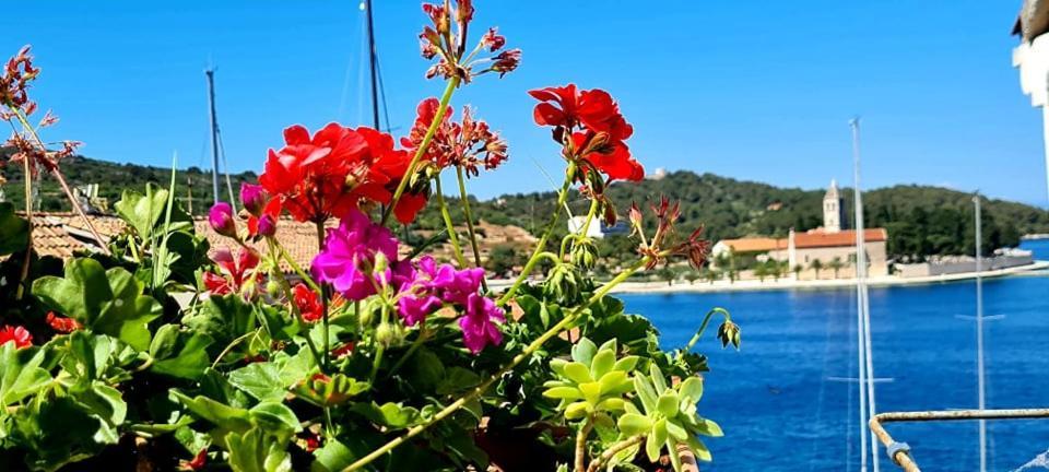 Bed & Breakfast Dionis فيس المظهر الخارجي الصورة