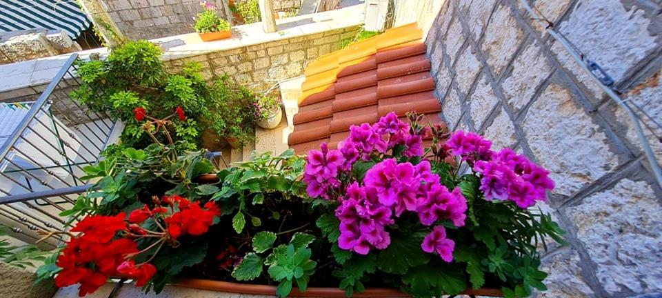 Bed & Breakfast Dionis فيس المظهر الخارجي الصورة